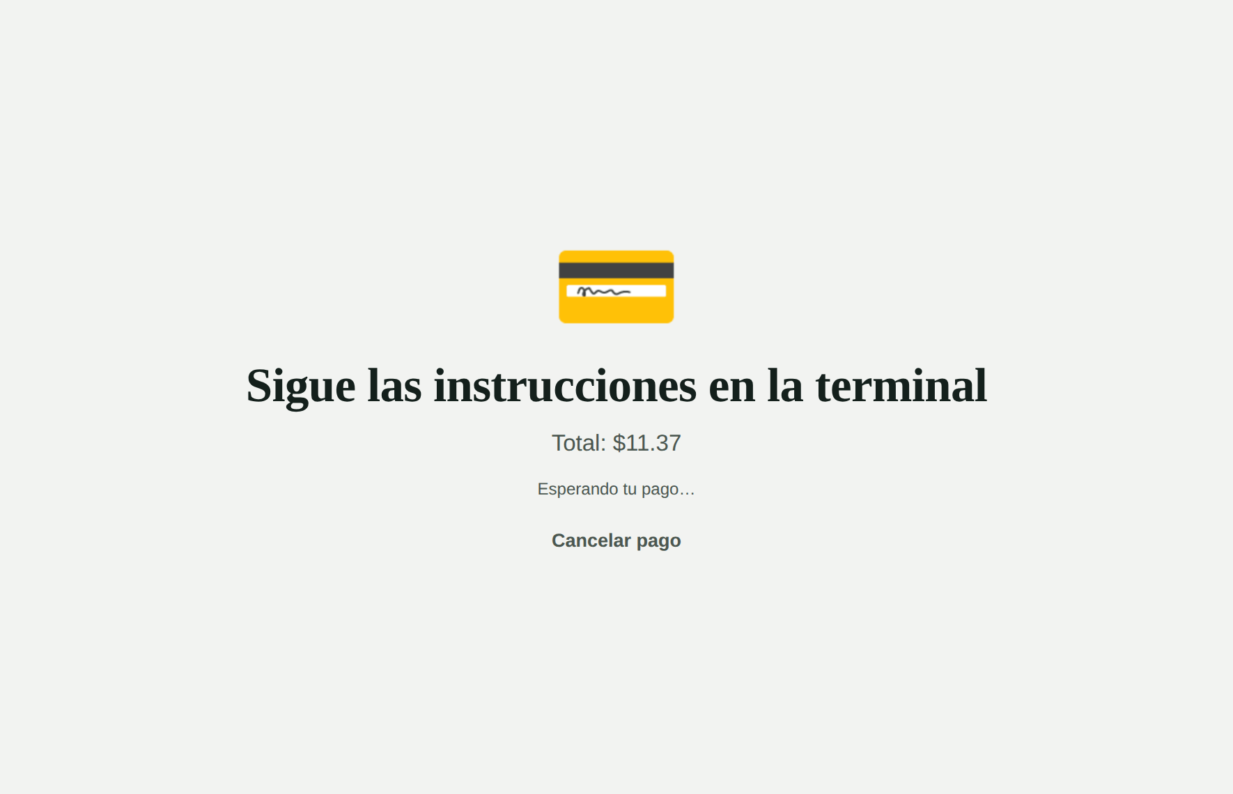 Pagando en la terminal